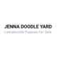 Cheap Labradoodle puppies near me – Jenna Doodle Yard
