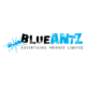 Blueantz Advertising Private Limited