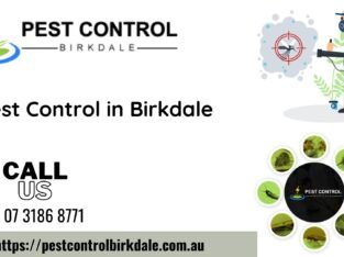 Top Pest Control Services in Birkdale, QLD