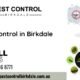 Top Pest Control Services in Birkdale, QLD