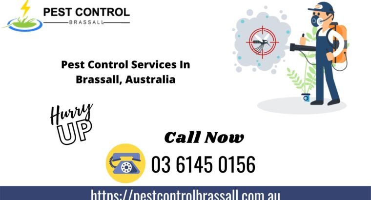 Top Pest Control Services in Brassall, QLD