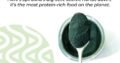 Organic Spirulina Powder – Algabrew