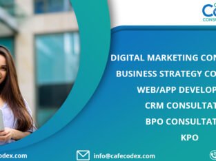 Content Marketing Companies in India