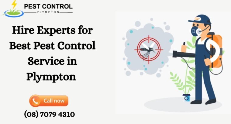 Get Superior Pest Control Services in Plympton