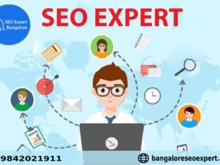 Hire SEO Expert In Bangalore Result-oriented SEO