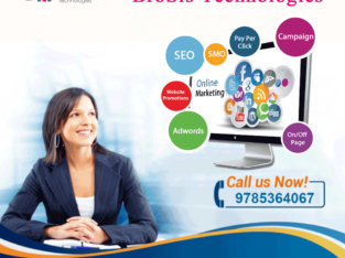 Digital Marketing Company in jaipur