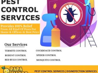 Hire Premium Quality Pest Control services in Noida at Reasonable Cost