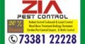 Zia Pest Control 7338122228 | Cockroach Service Price Just 1000.00 | 1834