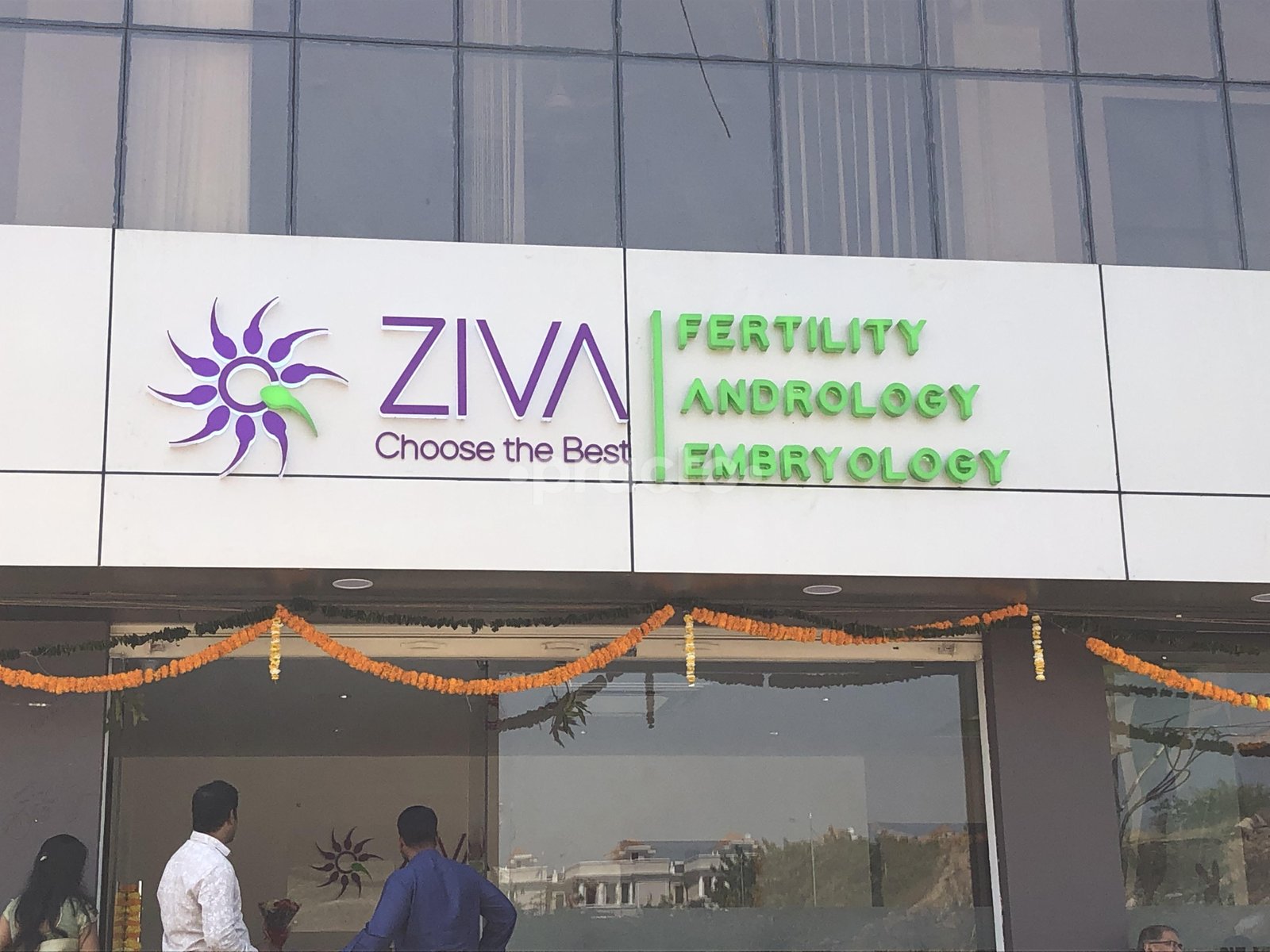 Best IUI treatment in Hyderabad | Ziva Fertility Clinic