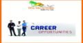 Freshers Jobs in TFG For Digital Marketer