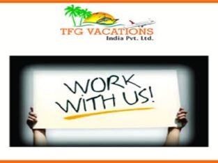 Full Time Work-from home Jobs with TFG