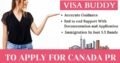 Best Visa Consultants | Visa Buddy