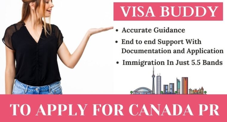 Best Visa Consultants | Visa Buddy