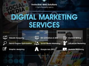 Digital marketing company in Delhi | Invincible web solutions