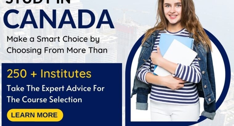 Best Visa Consultants | Visa Buddy