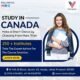 Best Visa Consultants | Visa Buddy