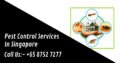 Ants Pest Control Singapore