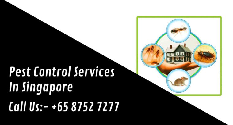 Ants Pest Control Singapore