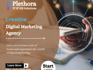 Top Digital Marketing services in Ahmadabad India |internet Marketing |Plethora IT Solution
