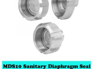MDS10 Sanitary Diaphragm Seal – Plain Flush Type | MIEPL