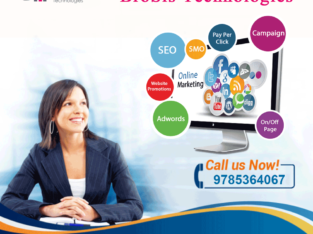 Digital marketing company in Jaipur