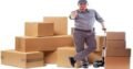 Qualified Worker Of Packers And Movers In Jaipur