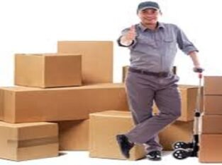 Qualified Worker Of Packers And Movers In Jaipur