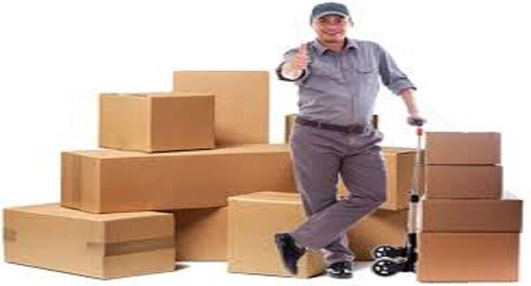 Qualified Worker Of Packers And Movers In Jaipur