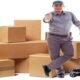 Qualified Worker Of Packers And Movers In Jaipur