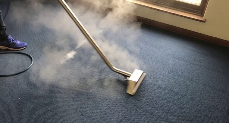 Expert Carpet Cleaning Services