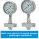 MP25 Homogenizer Pressure Gauges – Diaphragm Seal | MIEPL