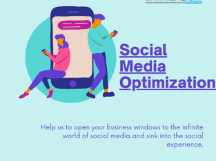 Social Media Optimization Company