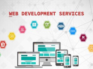 Best Software Company in Lucknow|web development company in Lucknow, Best web development company in