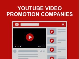 Which is the best Youtube Video Promotion Companies