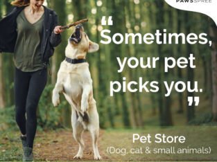 PawsSpree is one of the best online pet shop in Australia