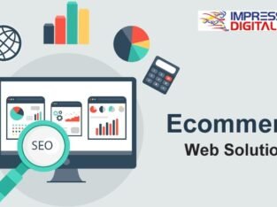 Choose the Best Ecommerce SEO Company in Delhi NCR,Noida