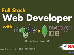 Full Stack Web Development Online Training