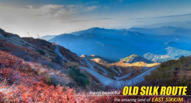 Book Wonderful Silk Route Package from NatureWings – Best Homestay, Best Deal, BOOK NOW !!!