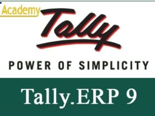 Best Advance Tally ERP9 Software Training in Noida