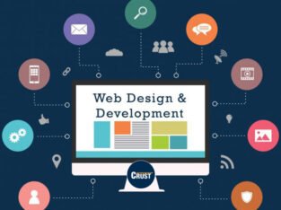 Best Web Designing Service – CRUST Web Designers