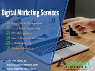 DIGITAL MARKETING COMPANY IN INDIA – SEO, PPC,SOCIAL MEDIA