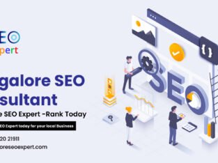 SEO Expert in Bangalore | SEO Consultant – bangaloreseoexpert.com