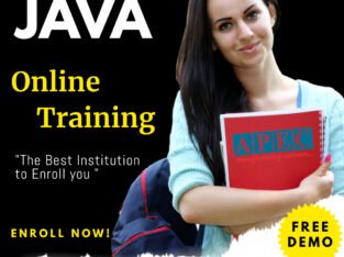 Java Online Training Institutes in Ameerpet