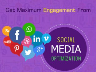 Social Media Optimization Company in Noida