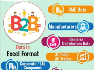 B2B Sales Leads Database Provider in India