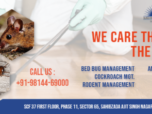 Pest Control Services Price List