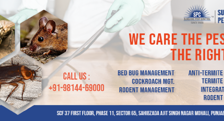 Pest Control Services Price List