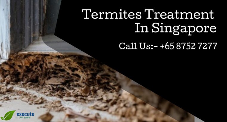 Termites Control Services Singapore