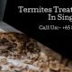 Termites Control Services Singapore