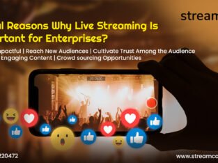 Looking For Best Wedding Live Streaming In Bangalore?